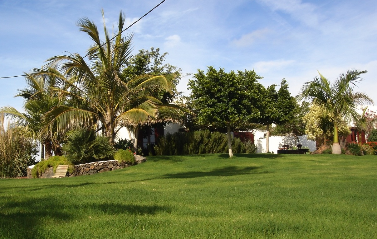 Villa Müller garden view